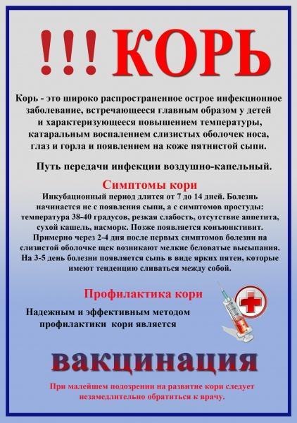 Профилактика  кори у детей
